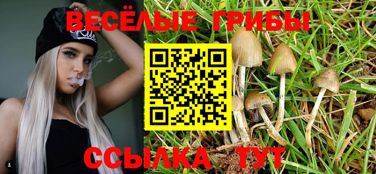 Галлюциногенные грибы MAGIC MUSHROOMS Лесосибирск