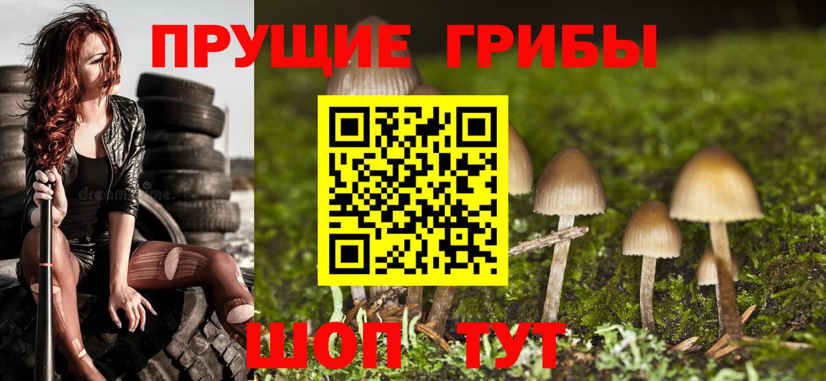 Лесосибирск  Галлюциногенные грибы ЛСД  Вход с VPN 